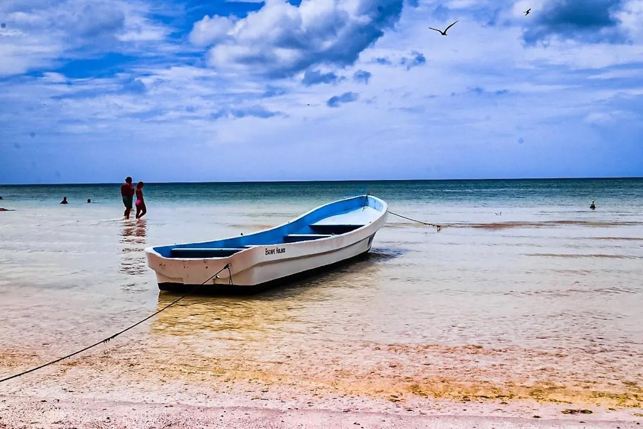 Hotel And Beach Club Escape Holbox